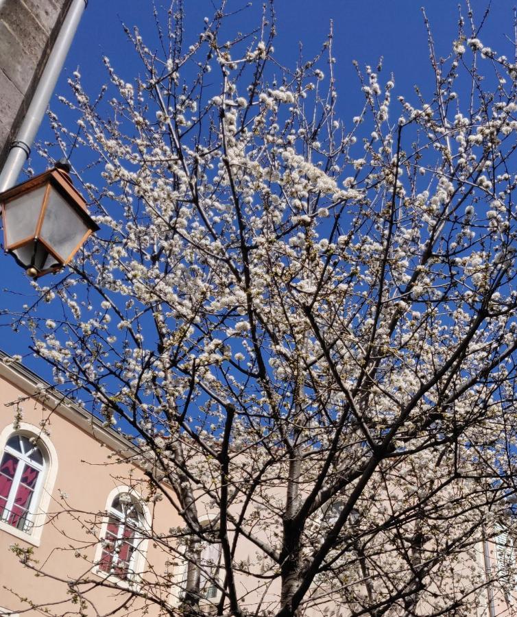 5 Chambres En Ville Clermont-Ferrand Bagian luar foto